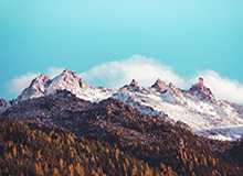 开云官网：开启云端新纪元的官方之门